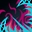 http://www.lineage2.com/images/skill_icons/skill1261.jpg